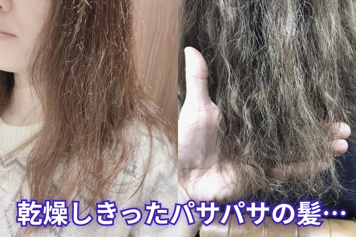 乾燥しきったパサパサの髪