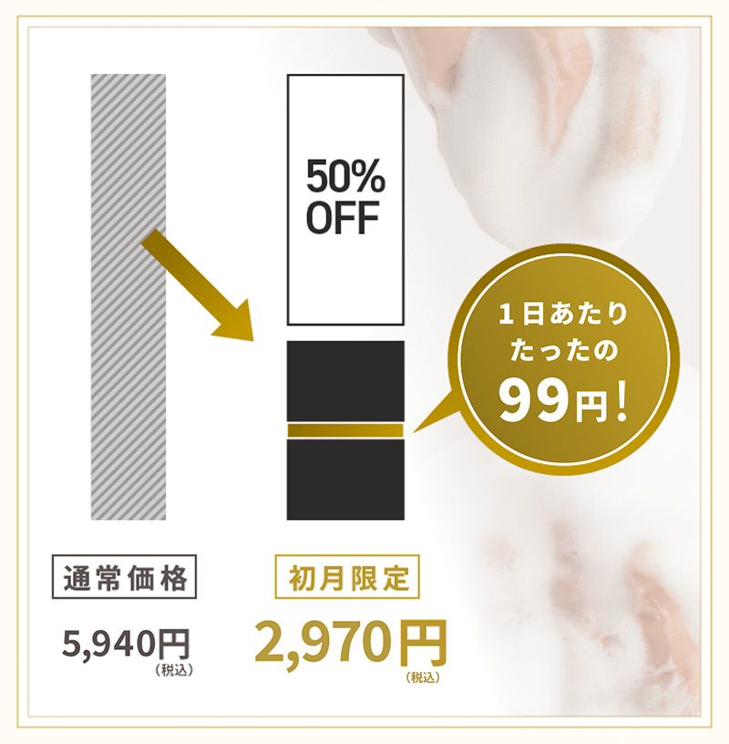 一日当たりたったの９９円！
