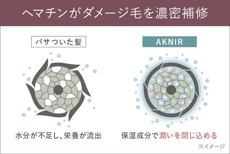 ヘマチンがダメージ毛を濃密補修