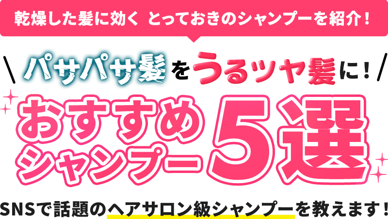 乾燥した髪に効くとっておきのシャンプーを紹介！